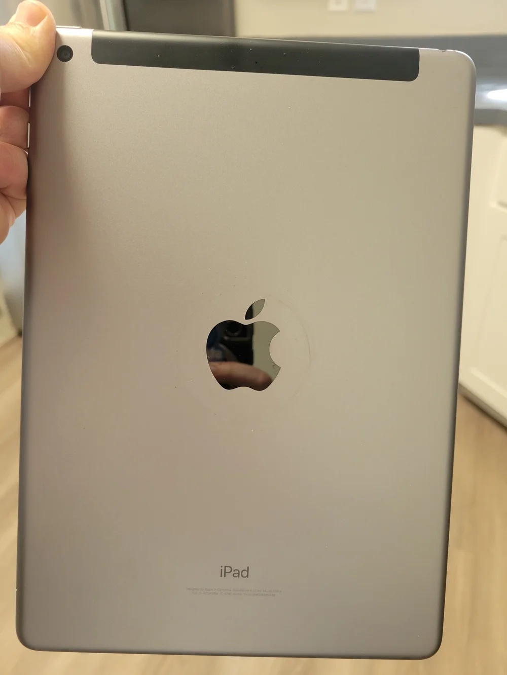 Apple iPad Silver with Black Antenna Strip